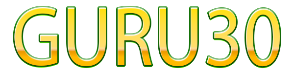 GURU30  Logo